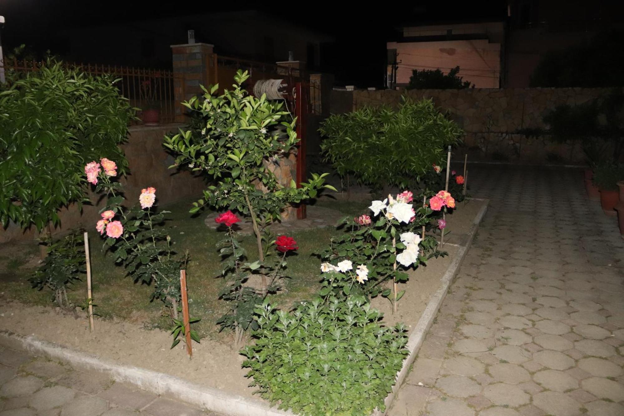 Raisa Guesthouse 12 Берат Экстерьер фото
